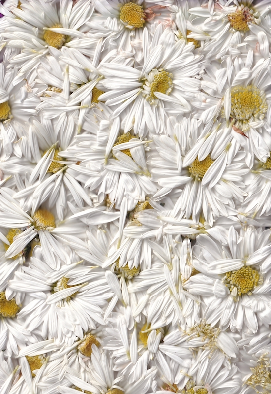 White | The meaning of different colors in Chinese White | The meaning of different colors in Chinese