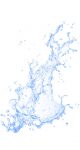 Water Radical