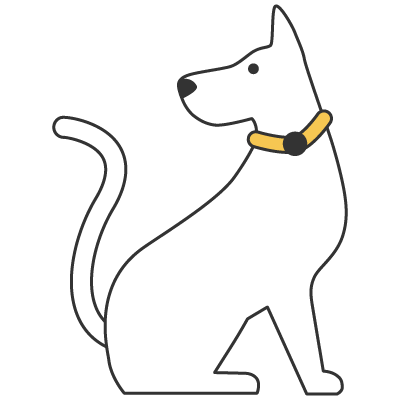 Pets & Dog Walking | Must-Know Chinese Phrases to Survive Pets & Dog Walking | Must-Know Chinese Phrases to Survive