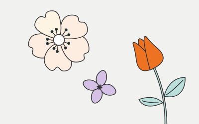 Chinese Guide to Flower Culture in China